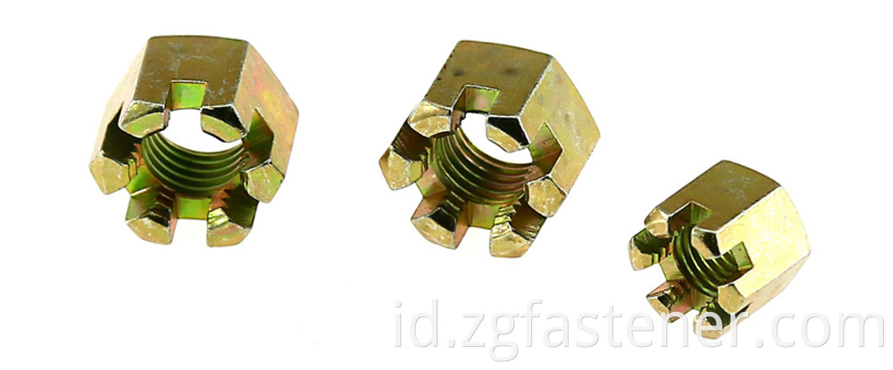 Hex Slotted Nuts 